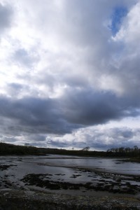 DSC_0228